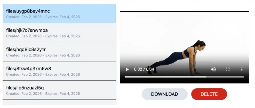 Un video manager per gestire i file generati con VEO