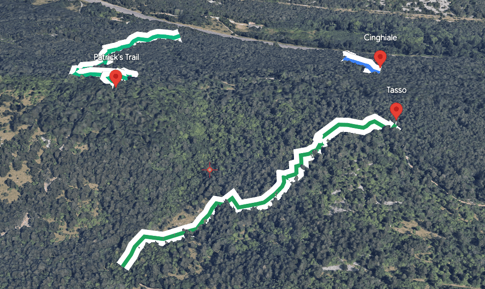 La polyline del trail sulla mesh 3D, sopra alberi ed edifici